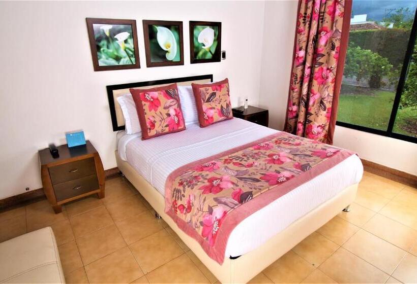 デラックスルーム, Amazilia