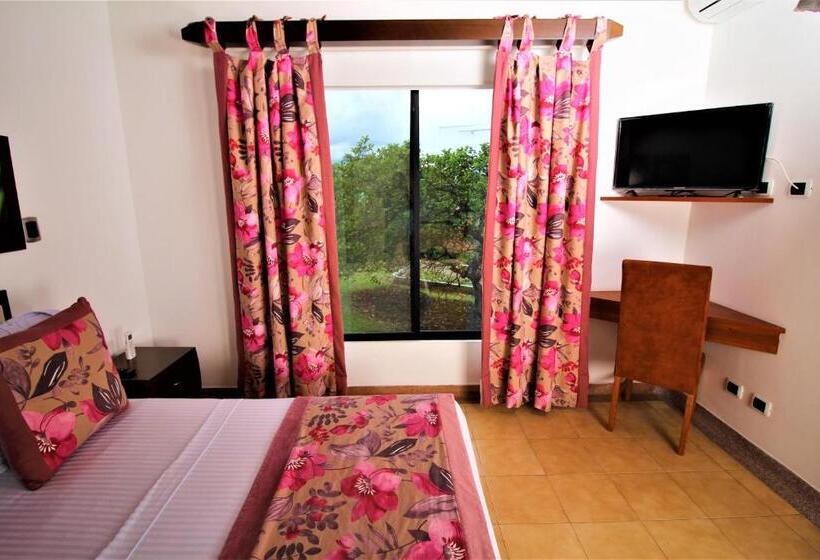 デラックスルーム, Amazilia