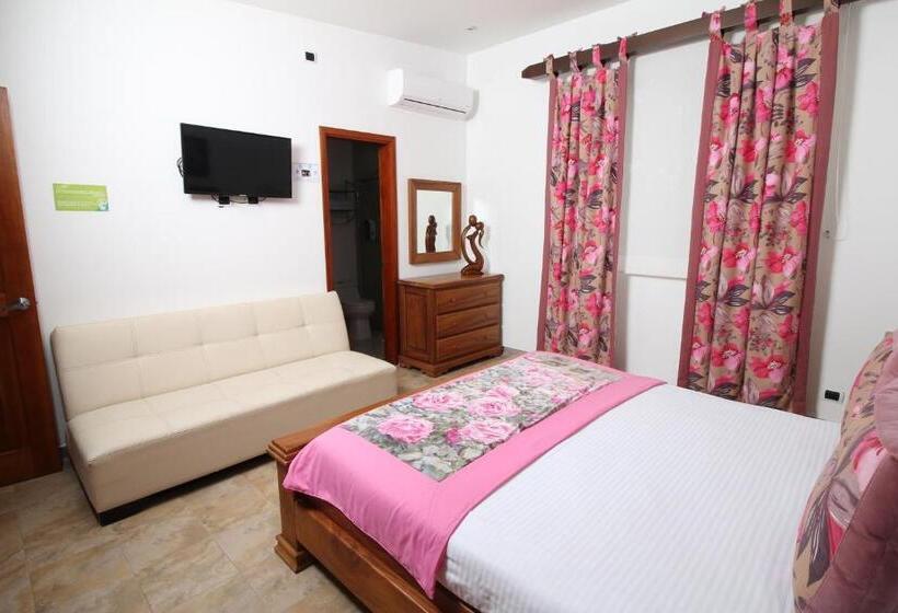 スーペリアールーム, Amazilia