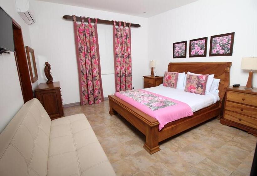 スーペリアールーム, Amazilia