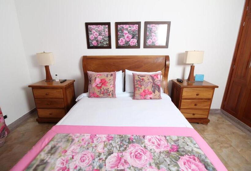 スーペリアールーム, Amazilia