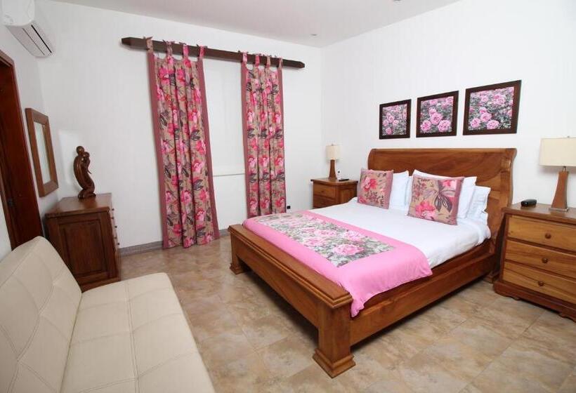 スーペリアールーム, Amazilia