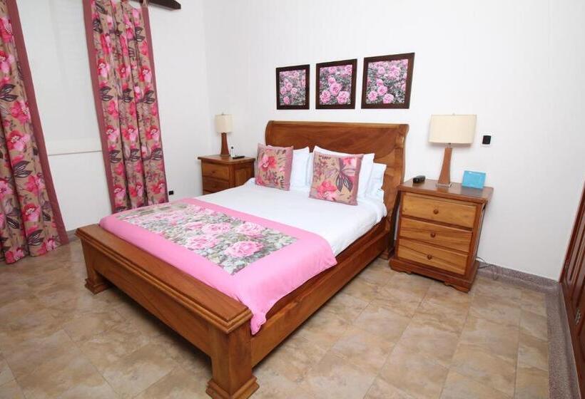 スーペリアールーム, Amazilia