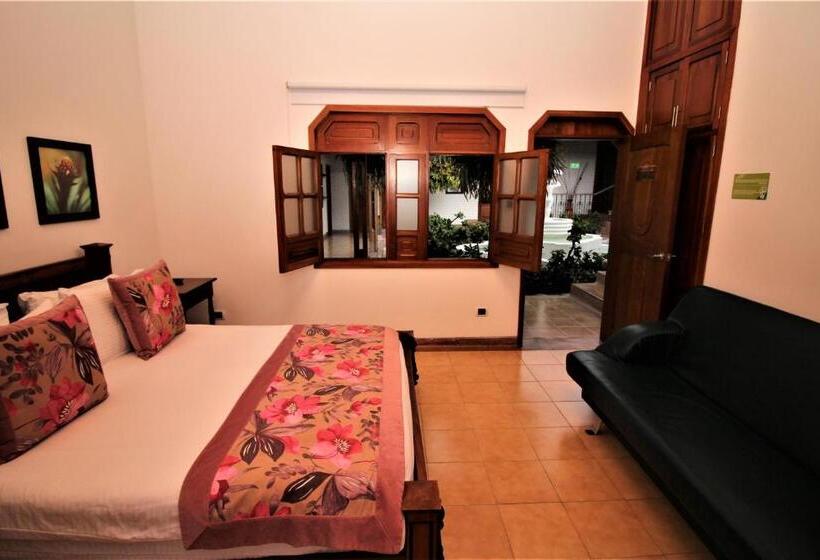 スーペリアールーム, Amazilia