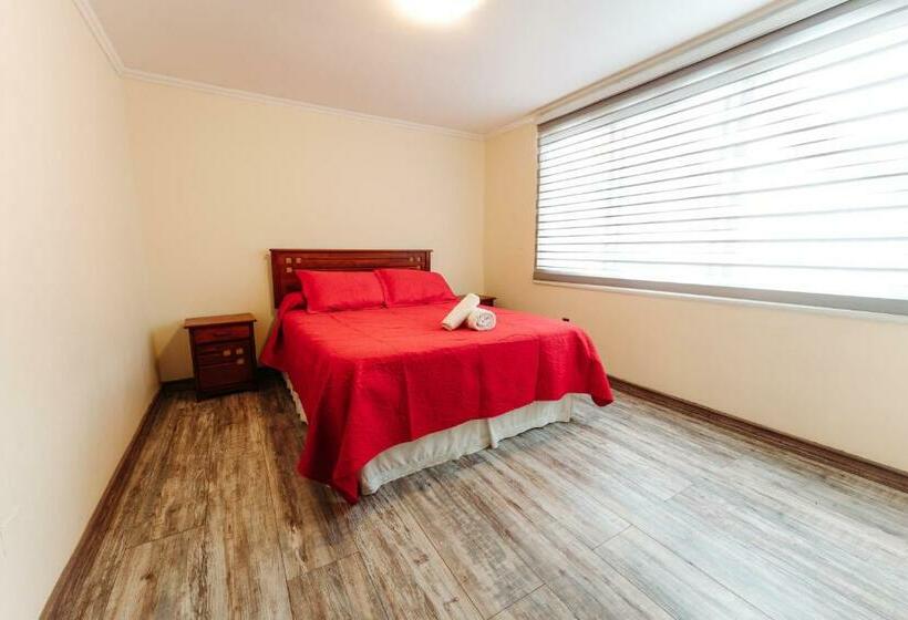 标准单人间, American