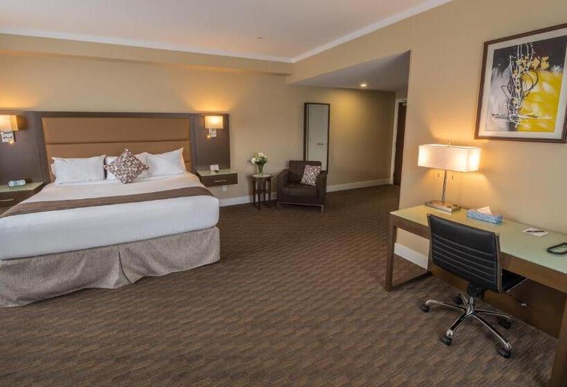 חדר דחוקס עם מיטת קינג, Mstar