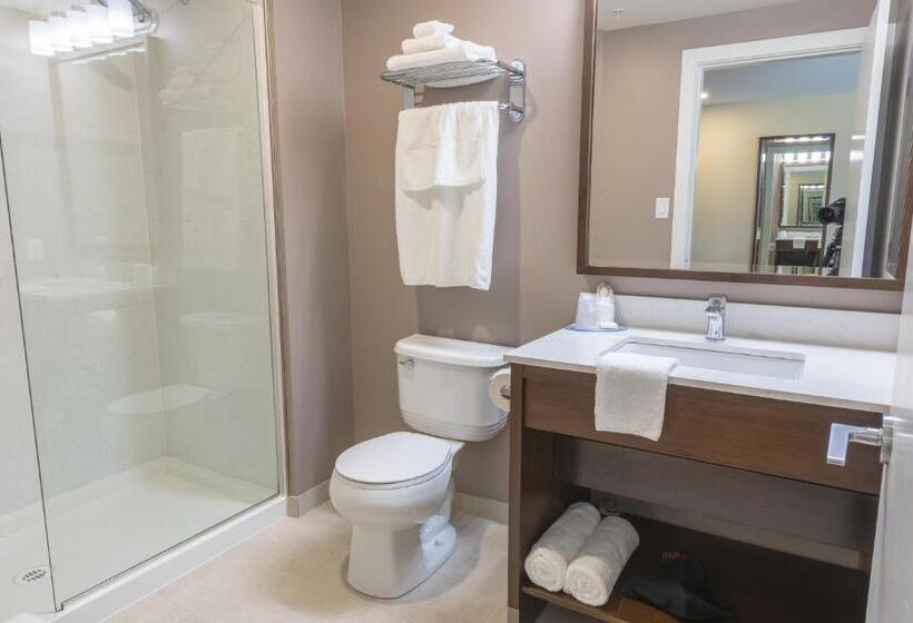 סוויטה אקזקיוטיב, Mstar