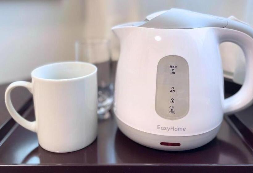 חדר סטנדרט יחיד, Aston Plaza Kansai Airport