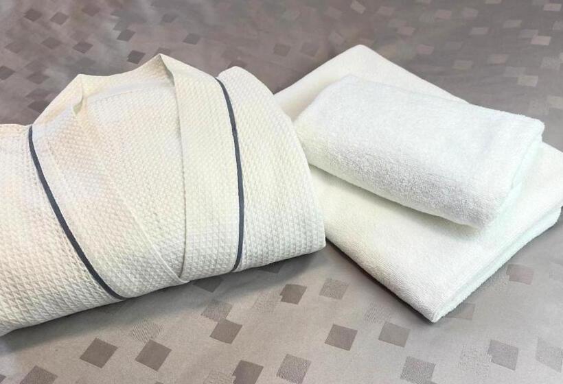 חדר סטנדרט יחיד, Aston Plaza Kansai Airport