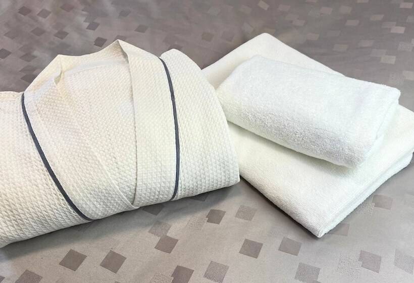 חדר סטנדרט, Aston Plaza Kansai Airport