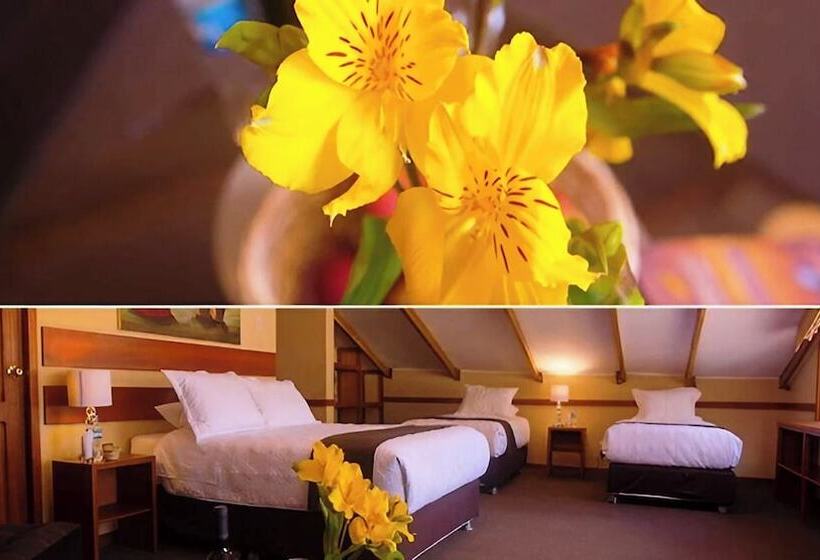 سوییت با چشمانداز کوه, Sol Miranda