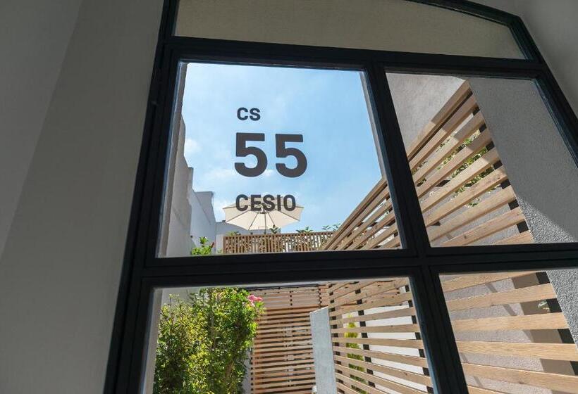 スタンダードルーム, Sodium Boutique