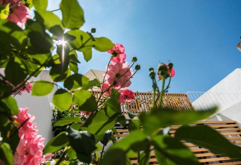 スタンダードルーム, Sodium Boutique