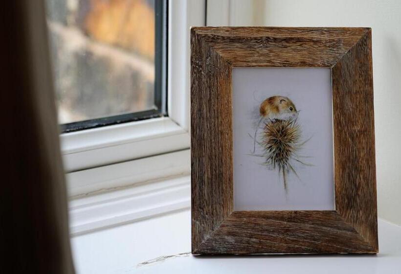 اتاق استاندارد, Sheriff Lodge