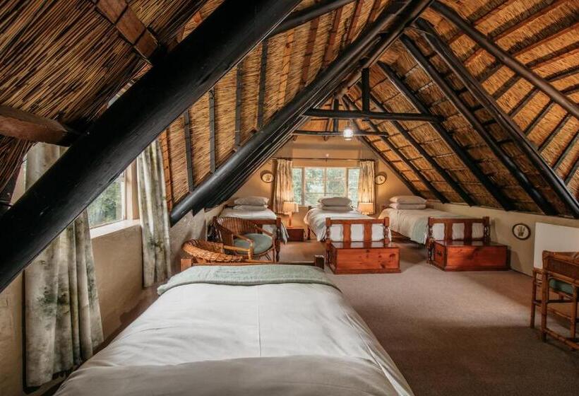 Chalet met 1 Slaapkamer, Mount Sheba Rainforest Hotel & Resort