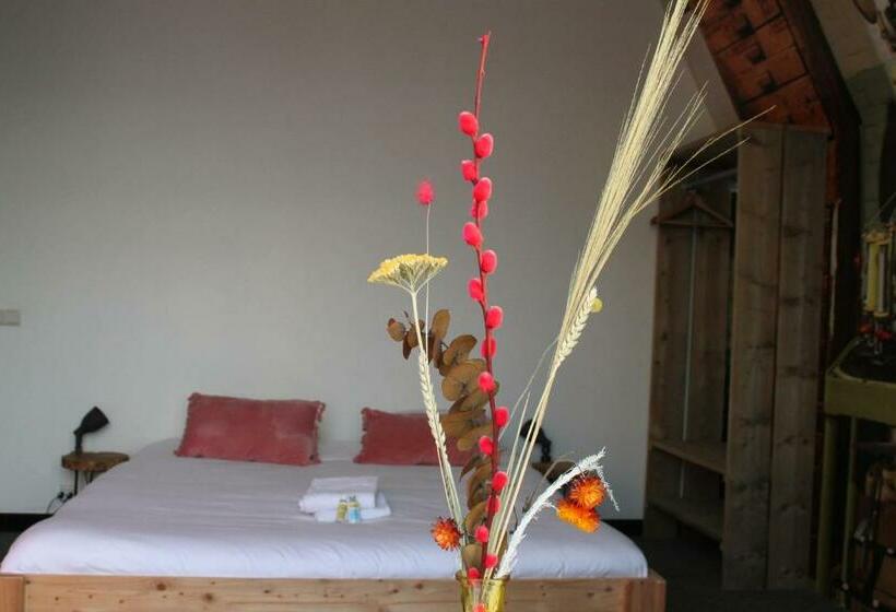 غرفة قياسية, Hostel Roots