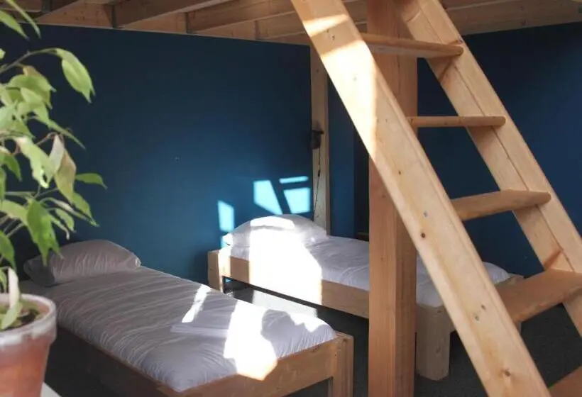 Vuode Makuusalissa, Hostel Roots