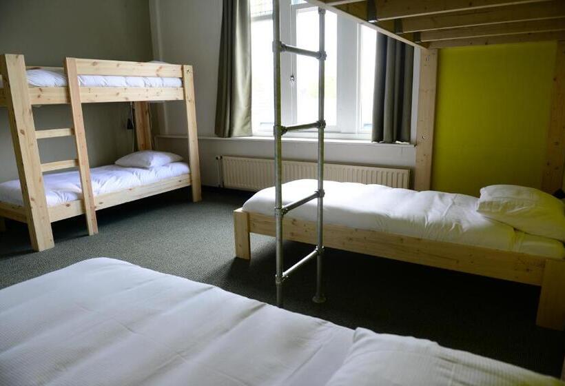 تختخواب در اتاق مشترک, Hostel Roots