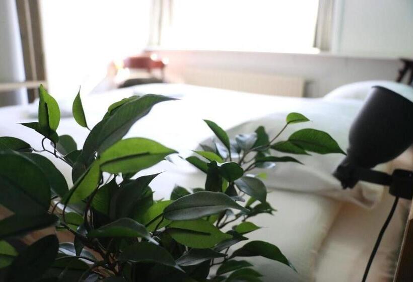 غرفة قياسية حمام مشترك, Hostel Roots
