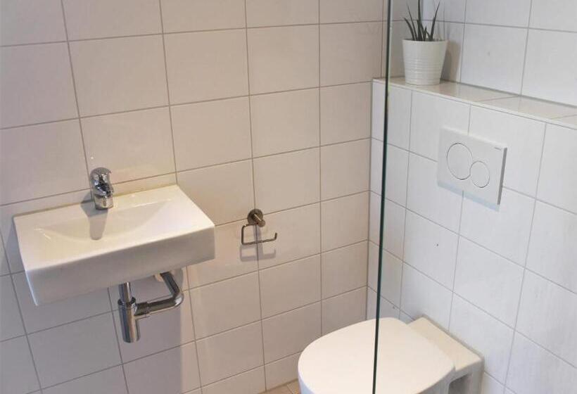 اتاق لوکس, Hostel Roots