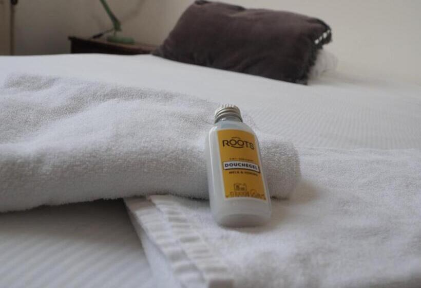 اتاق لوکس, Hostel Roots