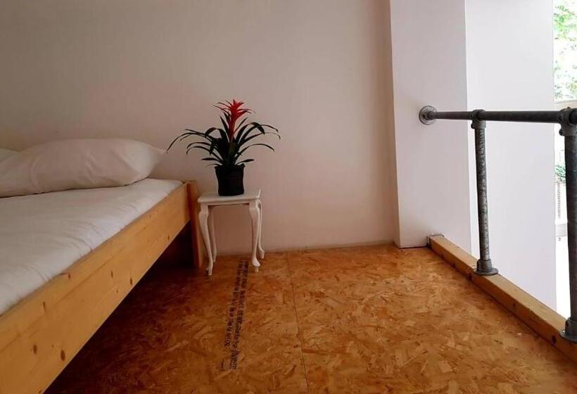 اتاق لوکس, Hostel Roots