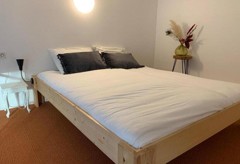 اتاق لوکس, Hostel Roots