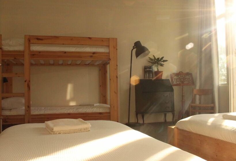 اتاق استاندارد چهار تخته, Hostel Roots