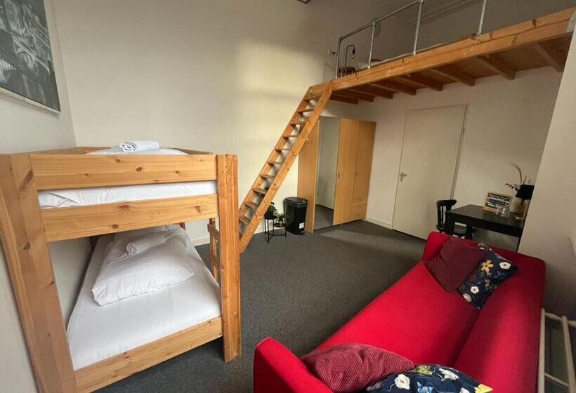 اتاق لوکس, Hostel Roots