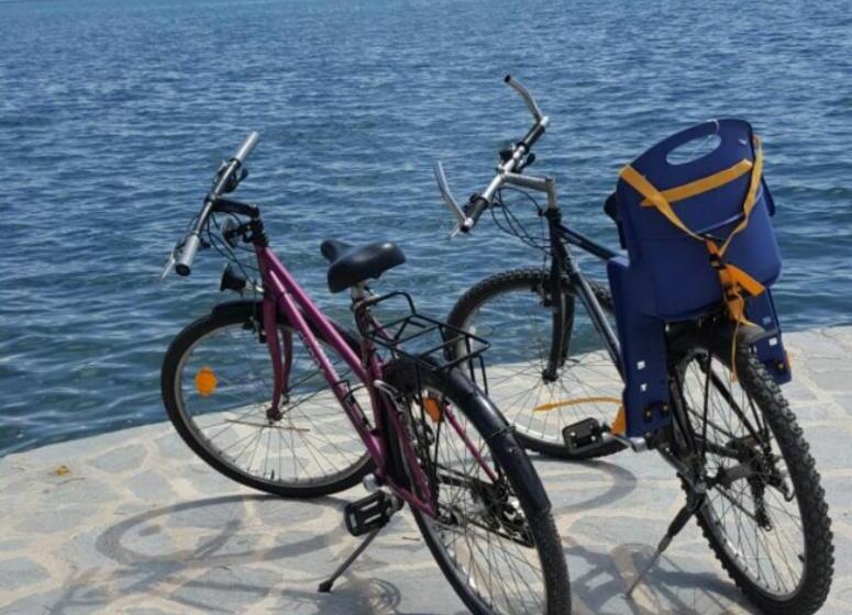 اتاق استاندارد یک نفره, Art Theatre Caffe