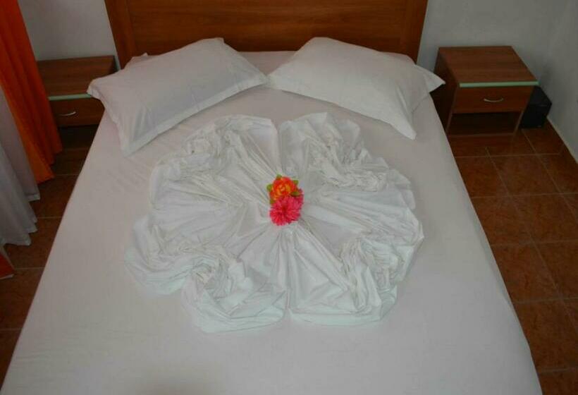 اتاق استاندارد, Bolonja