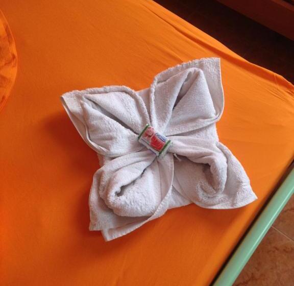 اتاق استاندارد چهار تخته, Bolonja