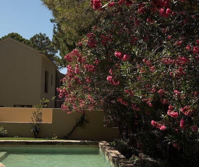 Вилла 1 Спальня, Misincu