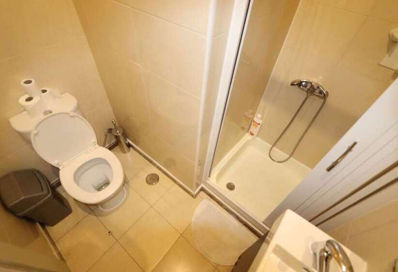 اتاق عادی با تخت دوبل, City Center Guest House