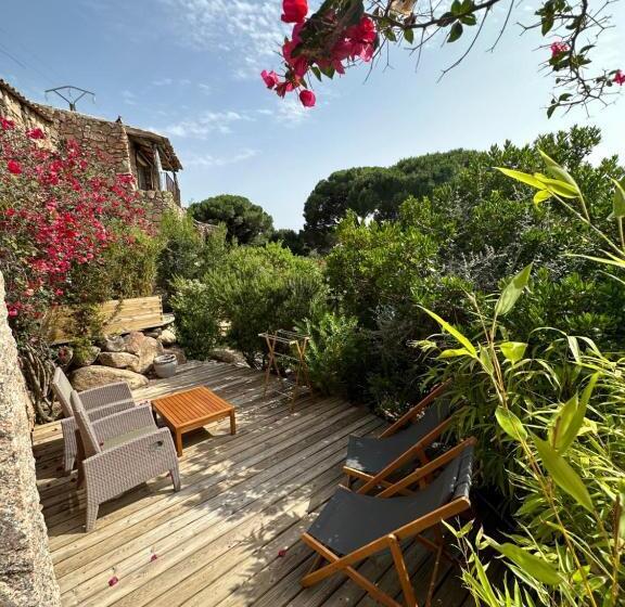 高级大房间, Hôtel Ambassador Palombaggia