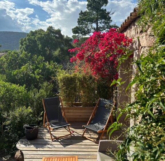 高级大房间, Hôtel Ambassador Palombaggia