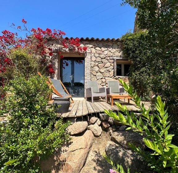 高级大房间, Hôtel Ambassador Palombaggia