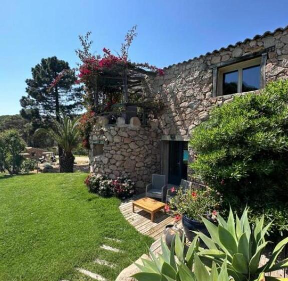 套房, Hôtel Ambassador Palombaggia