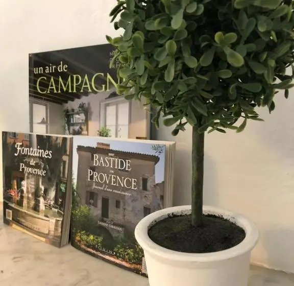 Camera Superiore, Le Flore