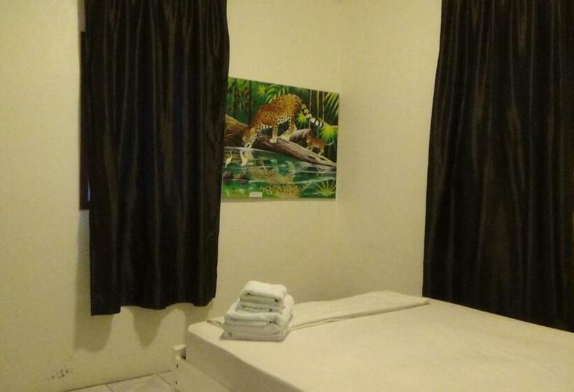 Апартаменты 1 Спальня, Hacienda Tropical Guest House