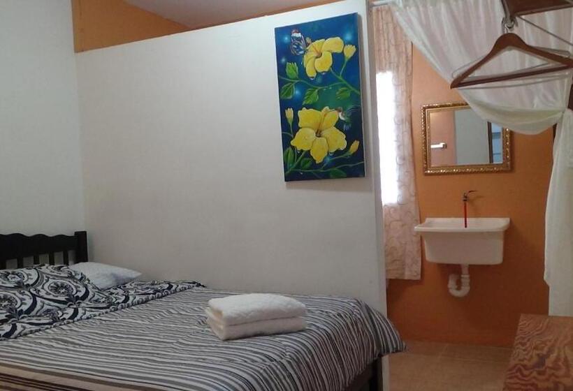 Апартаменты 1 Спальня Нижний Этаж, Hacienda Tropical Guest House