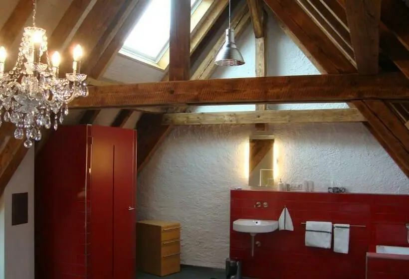 Standard-huone, B&b Laupenring, Basel