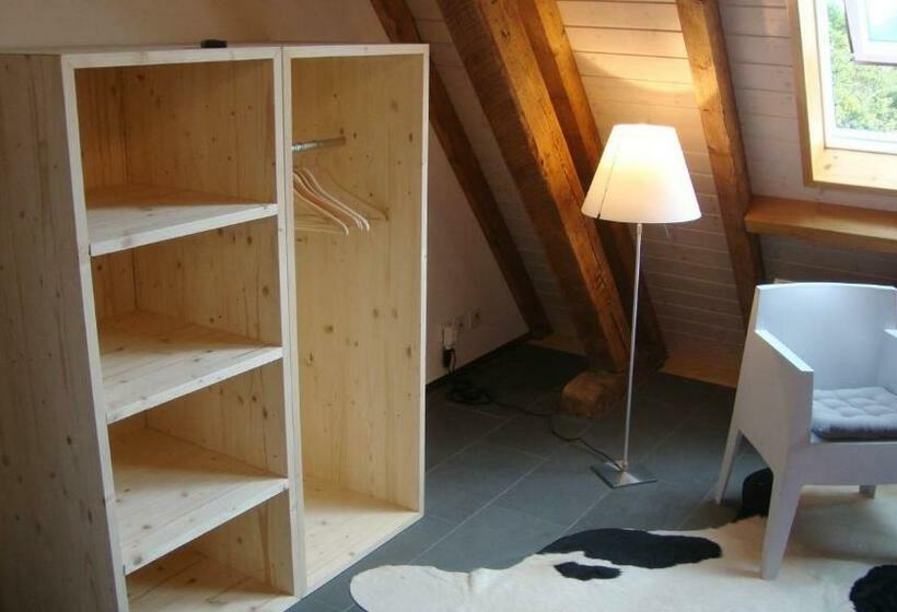 Camera Standard, B&b Laupenring, Basel