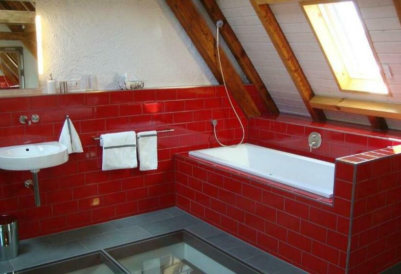 Camera Standard, B&b Laupenring, Basel