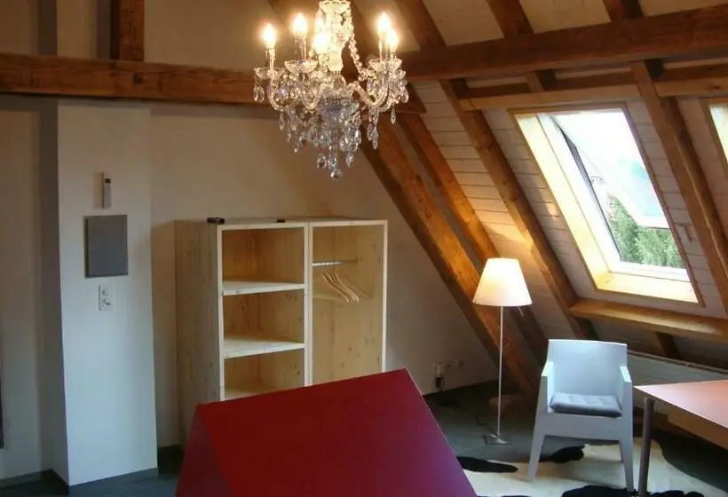 Standard-huone, B&b Laupenring, Basel