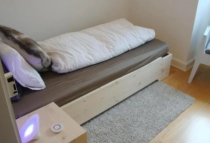 Standard Yhden Hengen Huone Jaettu Kylpyhuone, B&b Laupenring, Basel