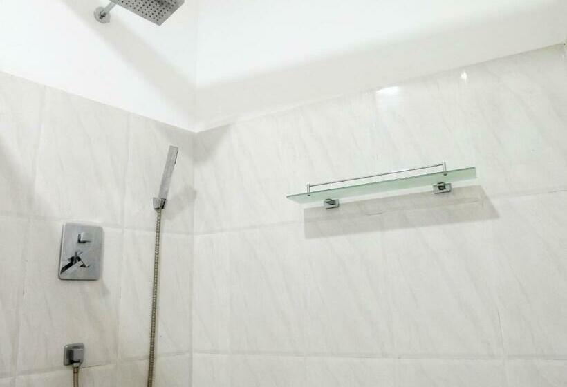 Номер Стандарт, Diana