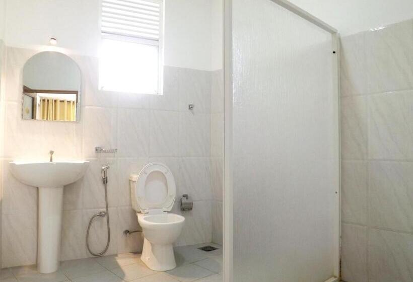 Четырехместный Номер Стандарт, Diana