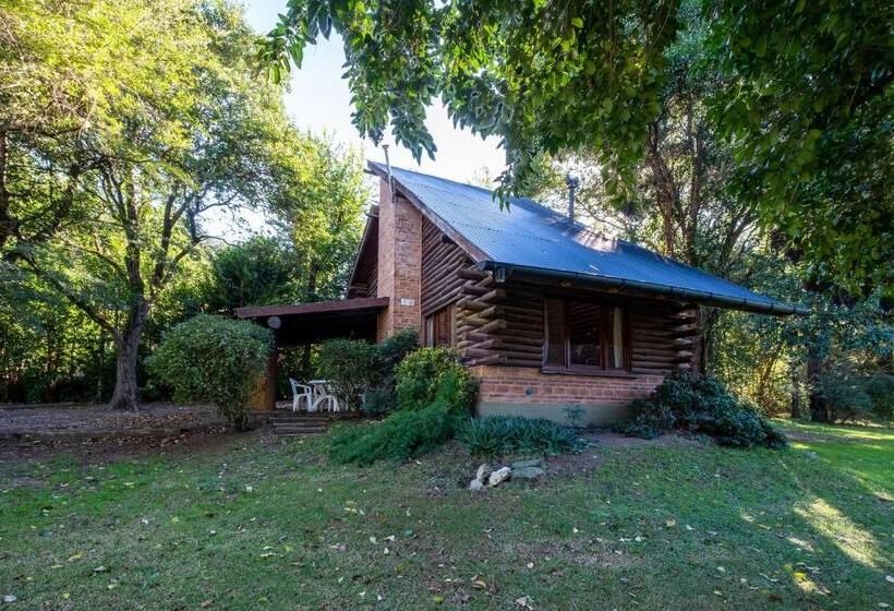 اتاق استاندارد, Grenouille