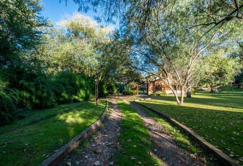 اتاق سوپریور خانوادگی, Grenouille